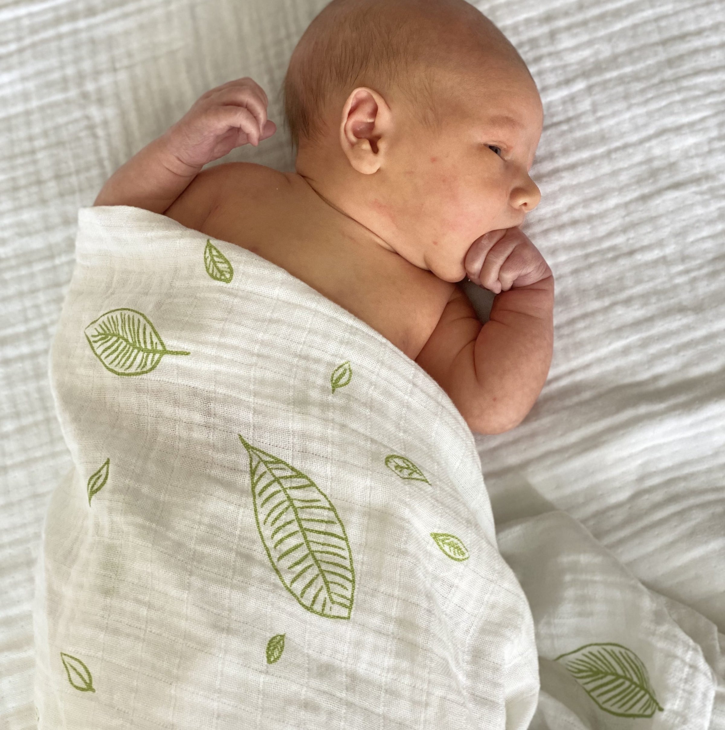 Swaddle Wraps