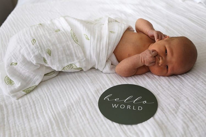 Organic Cotton Large Baby Muslin Wrap - Green Leaves