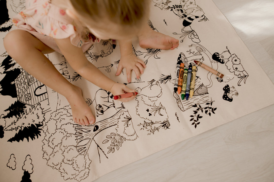 Fabric Colouring Cloth Mat - I-Spy Woodland- TWO Sizes - Wash and Use Again and Again !