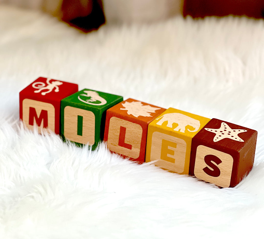 BEST SELLING Custom Personalised Wood Blocks - PICTURE MATCH - Wooden Toy - Hand Painted - Non Toxic - Personalized - Montessori - BLOCK Font